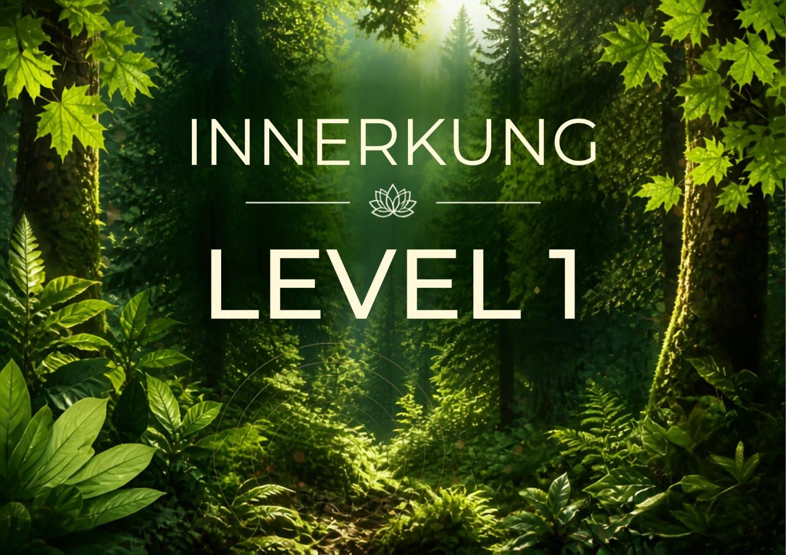 Workshop Level 1
